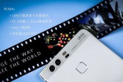非论是伴侣圈、微博还